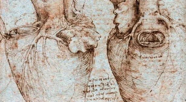 Επιστήμονες έλυσαν μετά από 500 χρόνια το μυστήριο της ανθρώπινης καρδιάς που είχε σχεδιάσει ο Λεονάρντο ντα Βίντσι