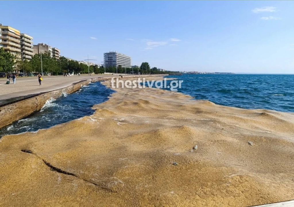 Έντονη δυσοσμία στην παραλιακή της Θεσσαλονίκης μετά την εμφάνιση φυτοπλαγκτόν – Δείτε βίντεο