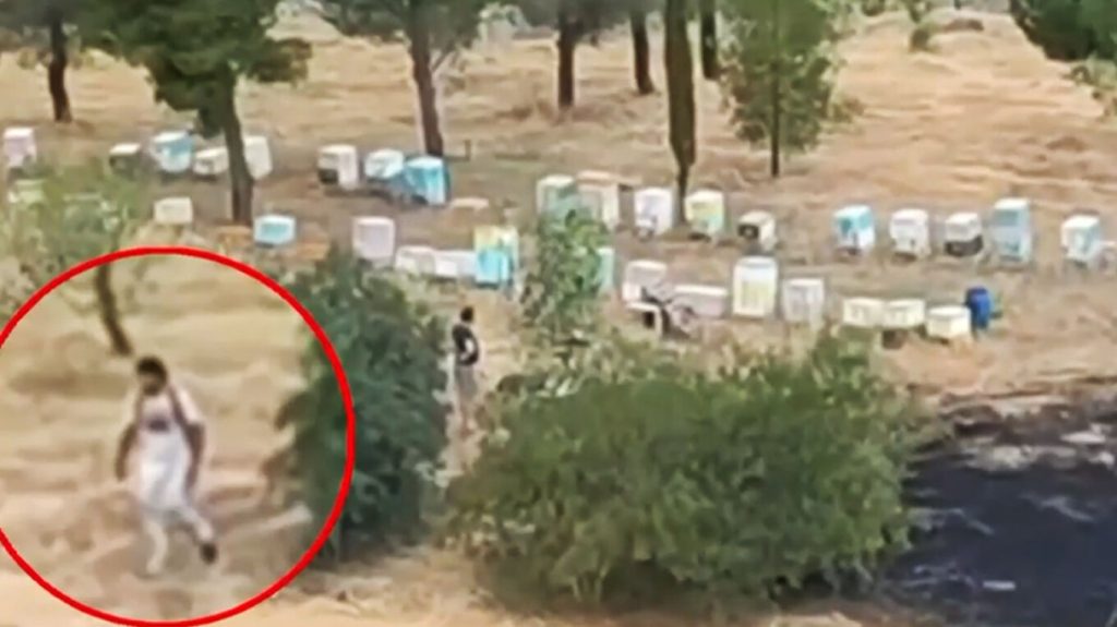Ταυτοποιήθηκε και αναζητείται μελισσοκόμος για την φωτιά στο Άλσος Βεΐκου