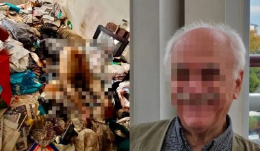 Νεκρός μέσα στο σπίτι του στα Κάτω Πατήσια βρέθηκε ο «βασιλιάς των κάδων»: Ποιος ήταν ο… κροίσος ρακοσυλλέκτης